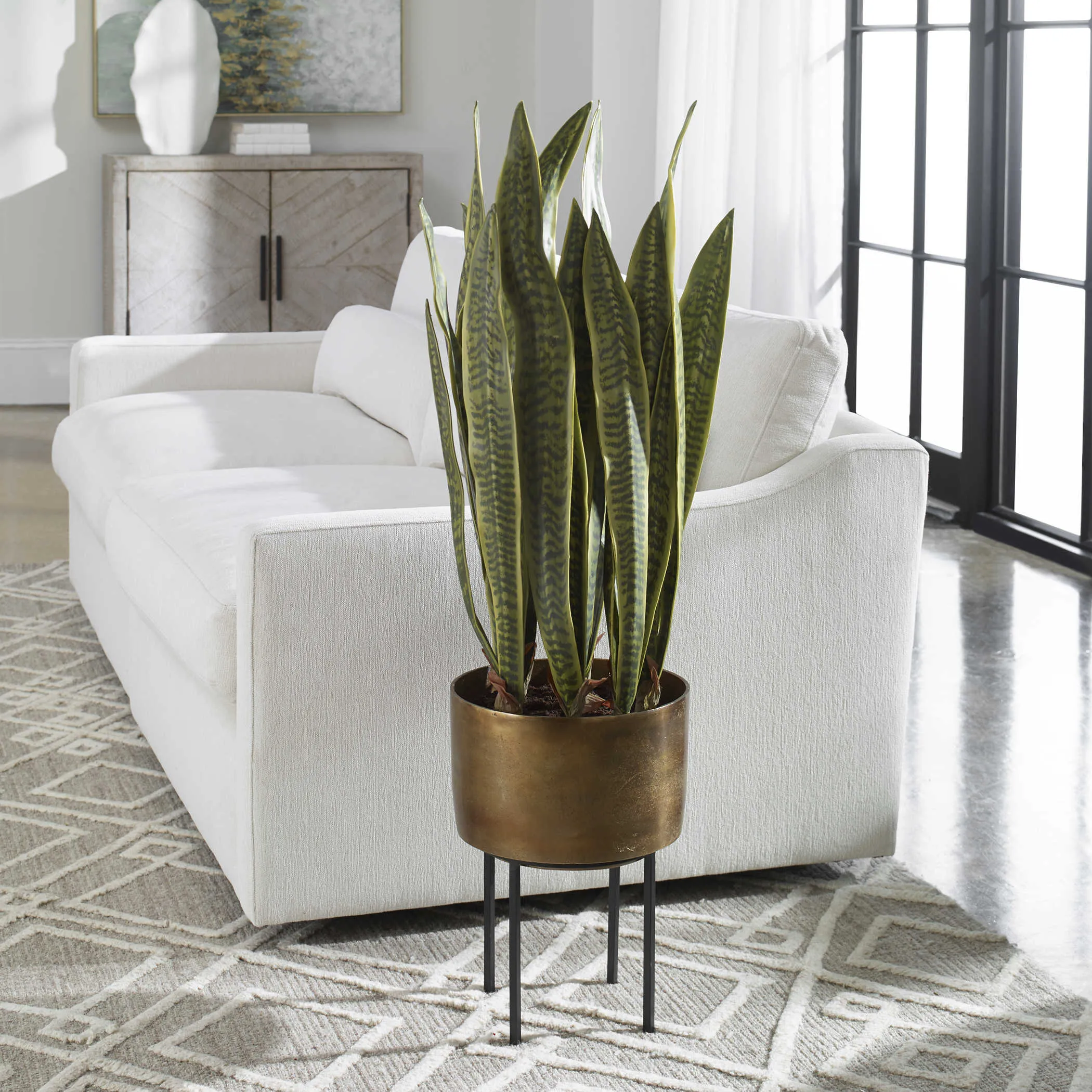 Fasita Potted Snake Plant